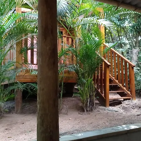 Mandacaru Guest House Praia do Forte Room photo