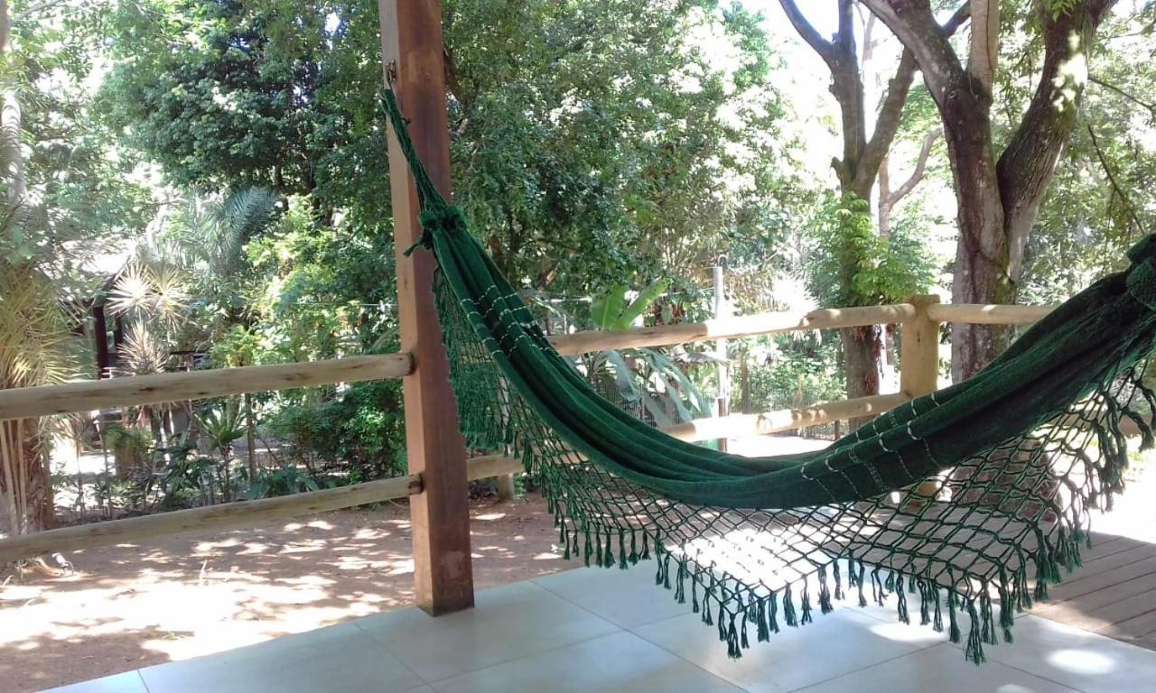 Mandacaru