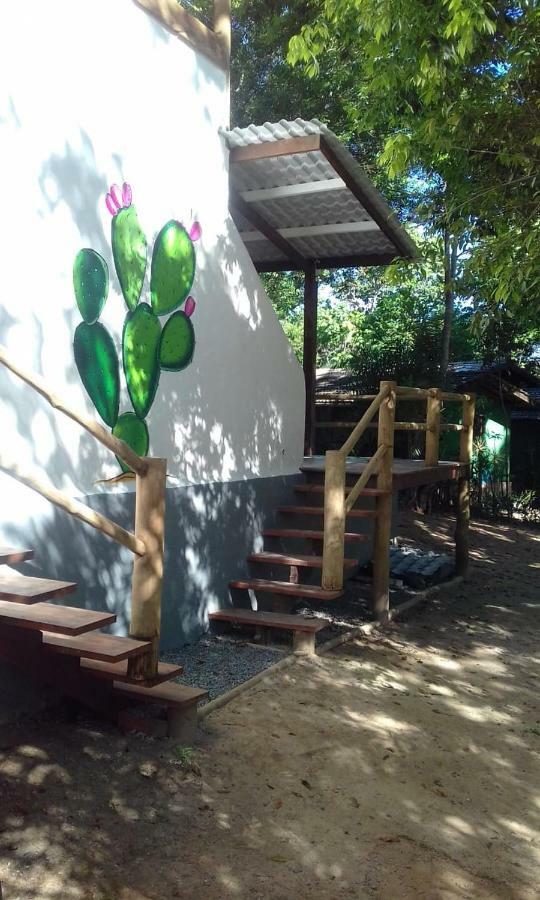 Mandacaru